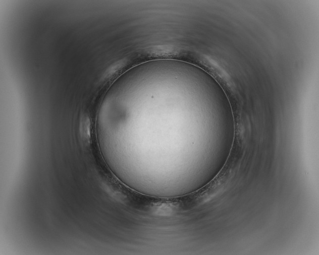 X0000116510115200912161346