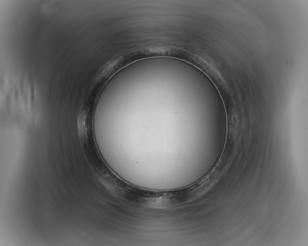 X0000116510116200912161346