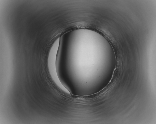 X0000116510117200912161346