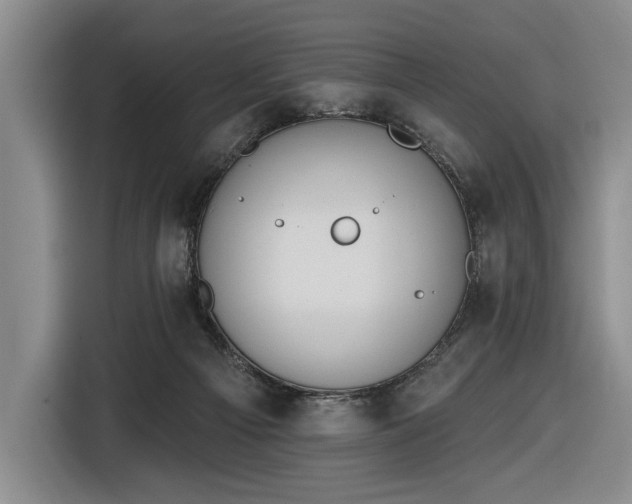 X0000116510121200912161346