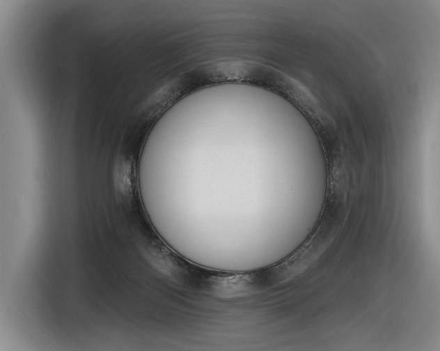 X0000116510122200912161346