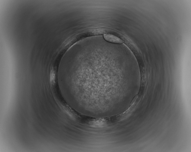 X0000116510124200912161346