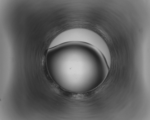 X0000116510125200912161346