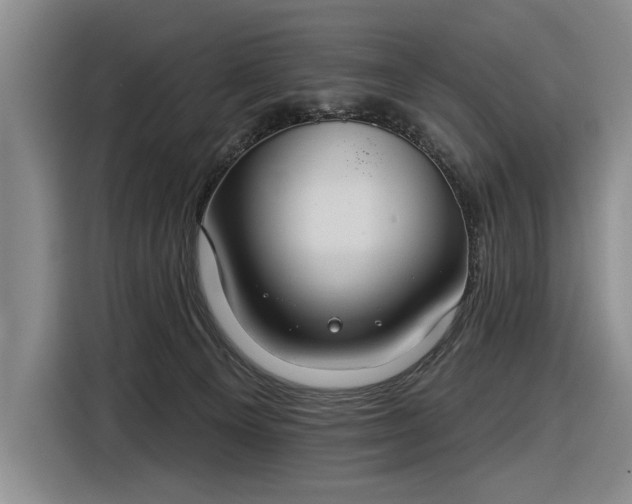 X0000116510129200912161346