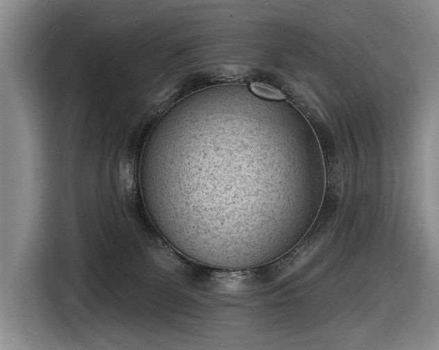 X0000116510131200912161346