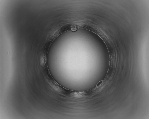 X0000116510134200912161346