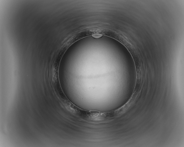 X0000116510136200912161346