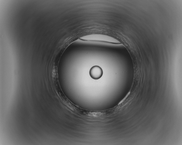 X0000116510137200912161346