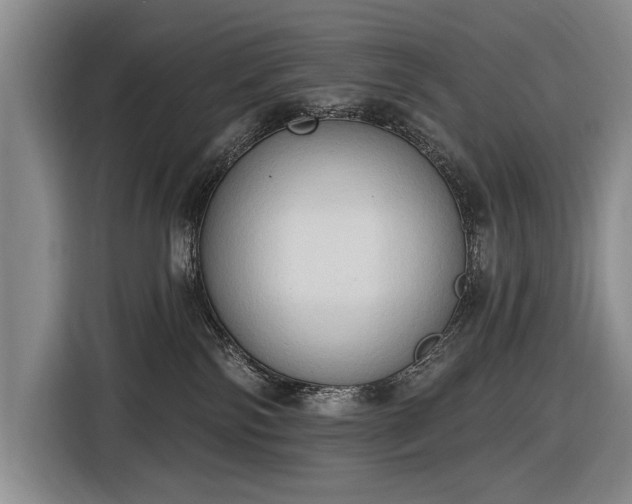 X0000116510138200912161346