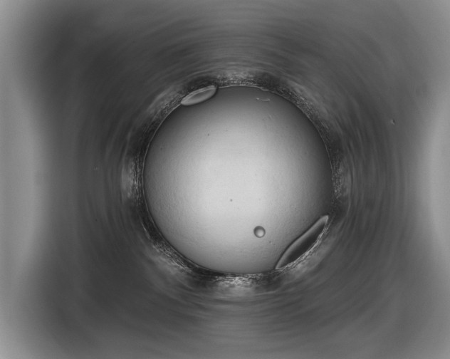 X0000116510140200912161346