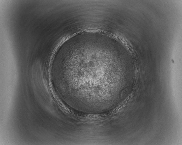 X0000116510145200912161345