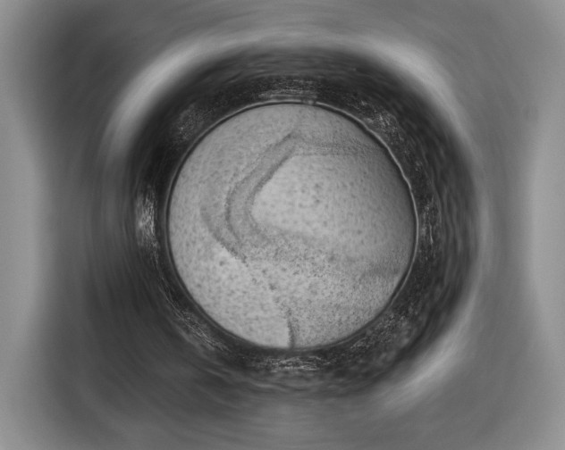 X0000116510146200912161345