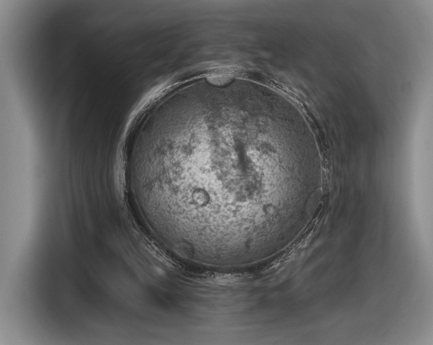 X0000116510149200912161345