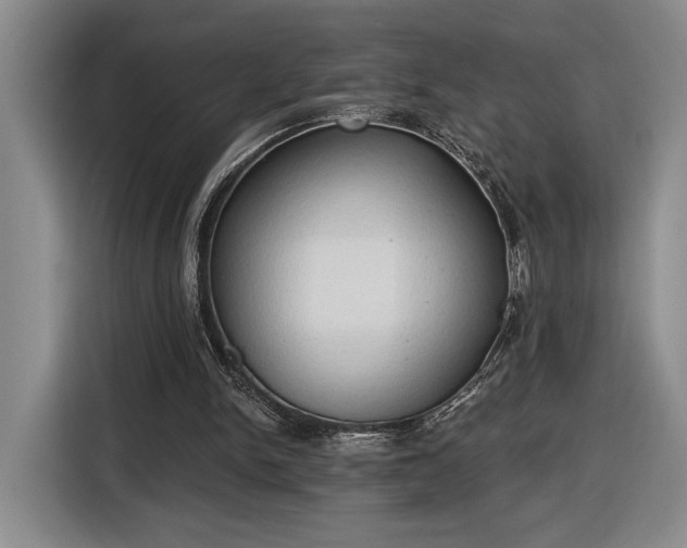 X0000116510150200912161345