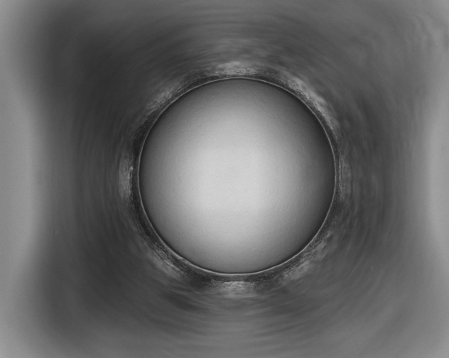 X0000116510153200912161345