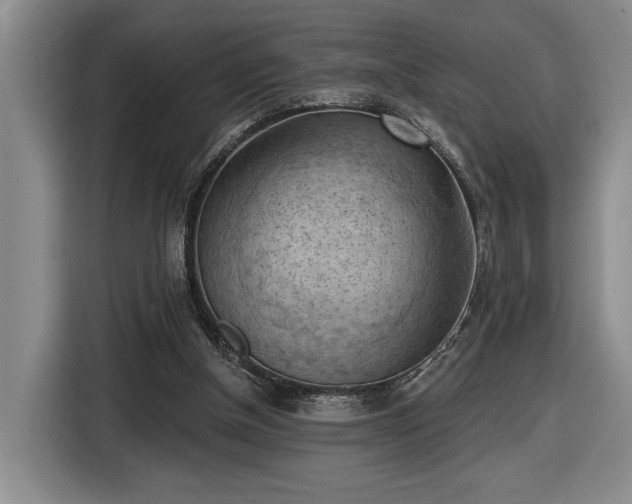 X0000116510154200912161345