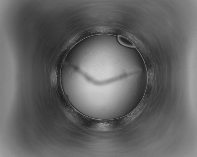 X0000116510158200912161345