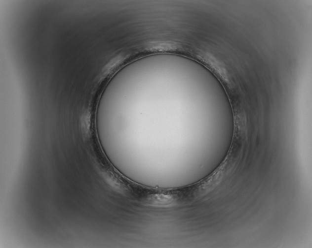 X0000116510159200912161346