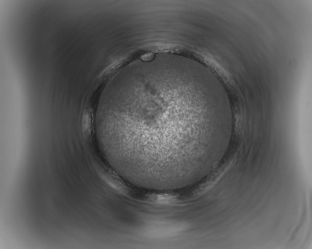 X0000116510165200912161346