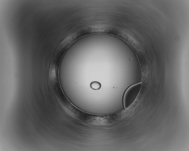 X0000116510166200912161346