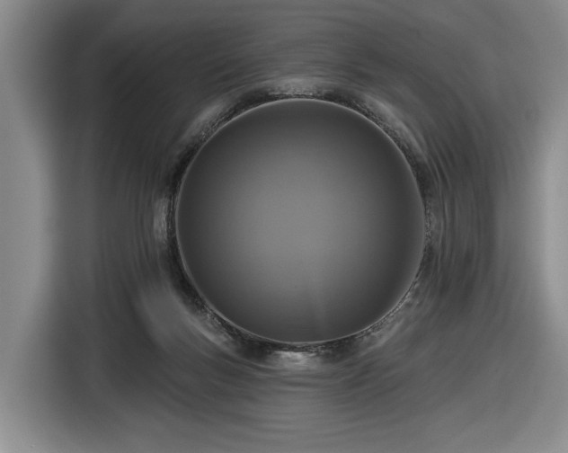 X0000116510167200912161346