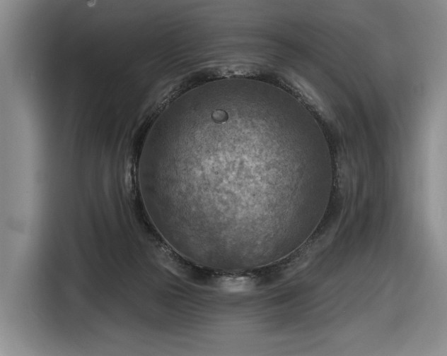 X0000116510169200912161346