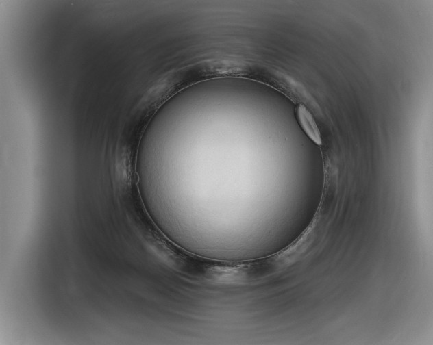 X0000116510170200912161346