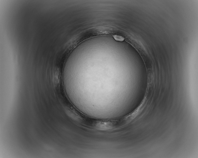 X0000116510174200912161346