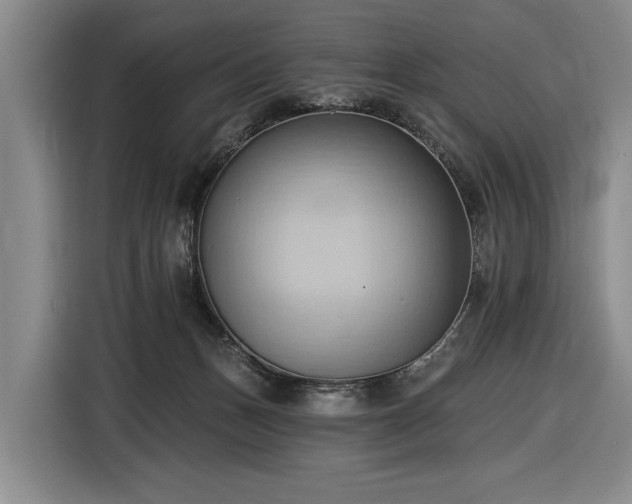 X0000116510175200912161346