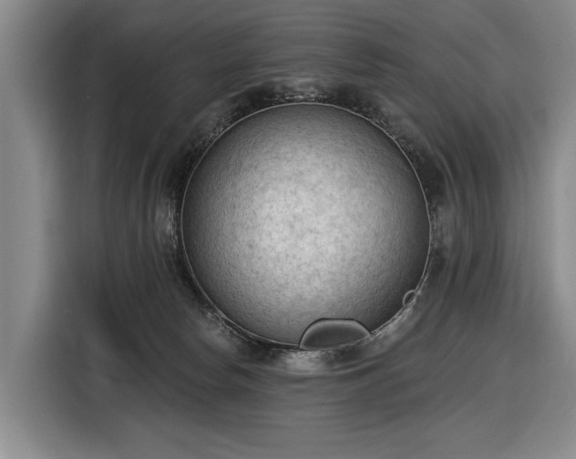 X0000116510178200912161346