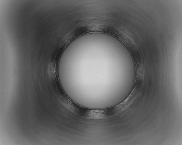 X0000116510179200912161346