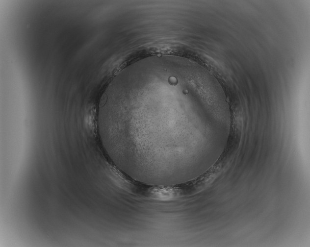 X0000116510181200912161346