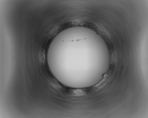 X0000116510183200912161346