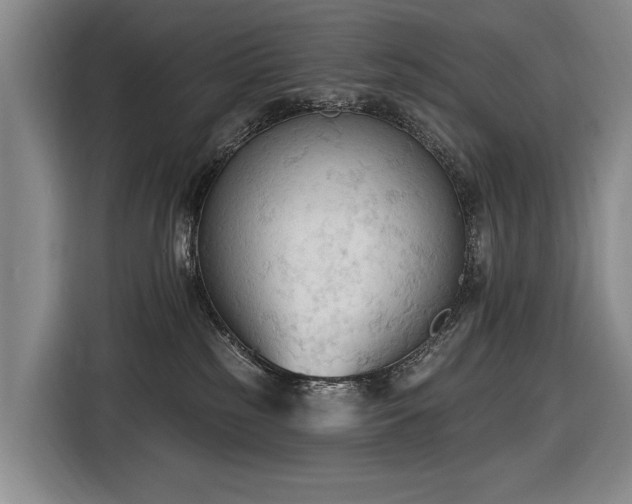 X0000116510185200912161346