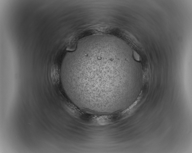 X0000116510186200912161346