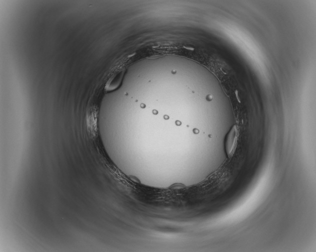 X0000116510190200912161346