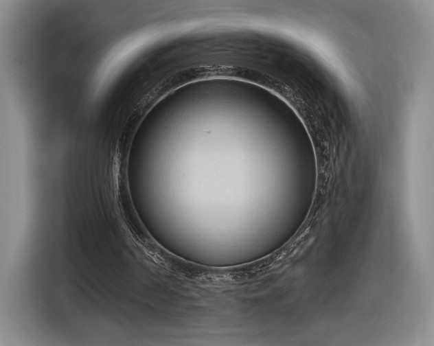 X0000116510194200912161345