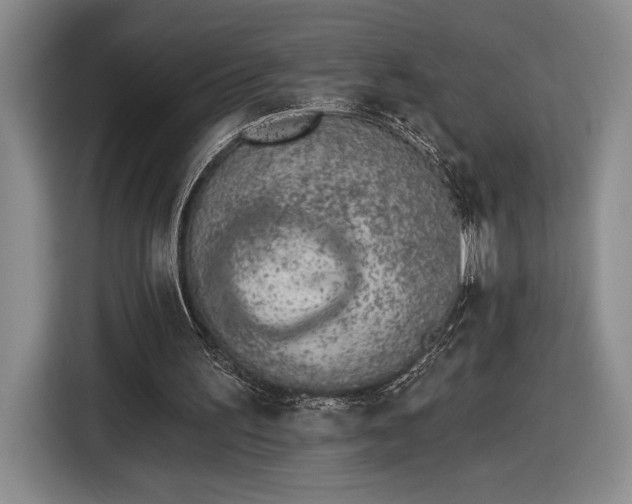 X0000116510195200912161345