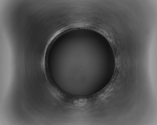 X0000116510196200912161345