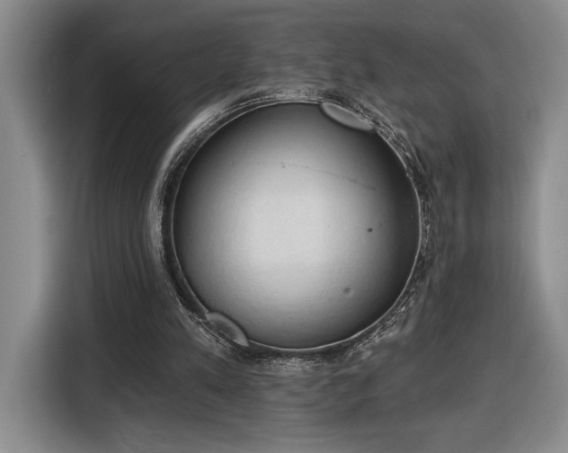 X0000116510197200912161345