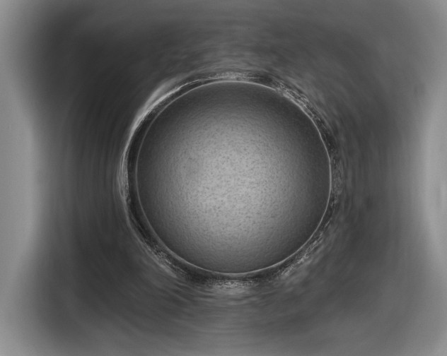 X0000116510198200912161345