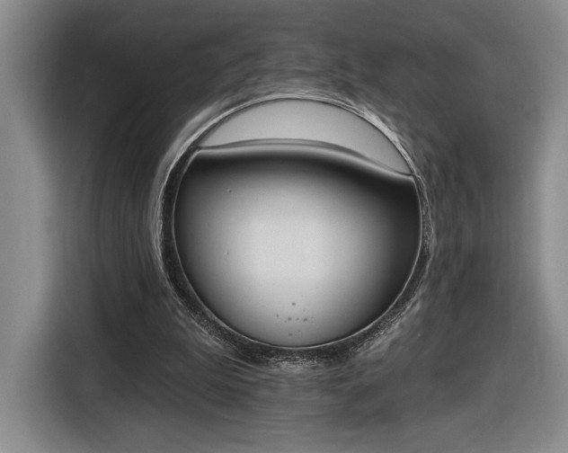 X0000116510199200912161345