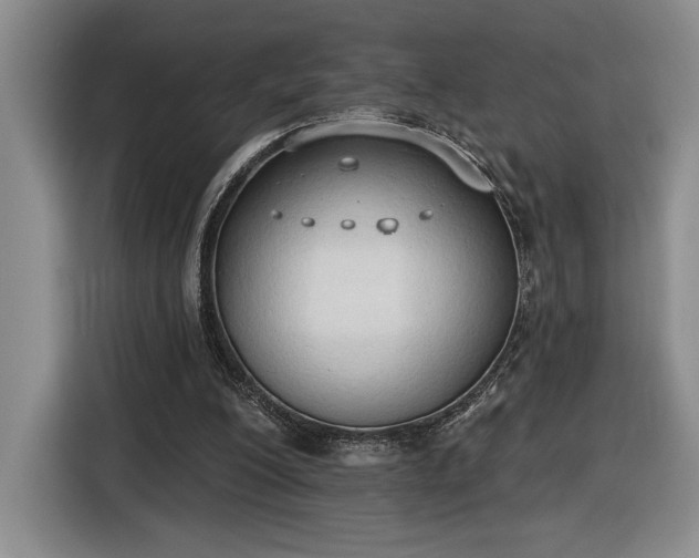 X0000116510200200912161345