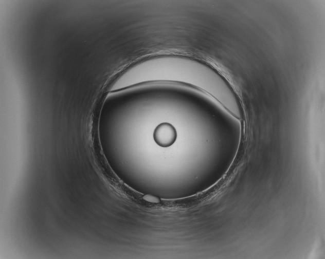 X0000116510201200912161345