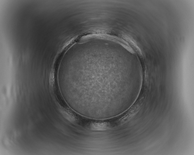 X0000116510202200912161345