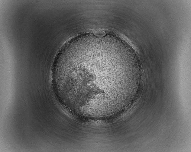 X0000116510203200912161345