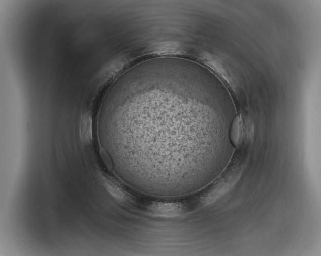 X0000116510205200912161345