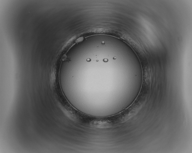 X0000116510208200912161345