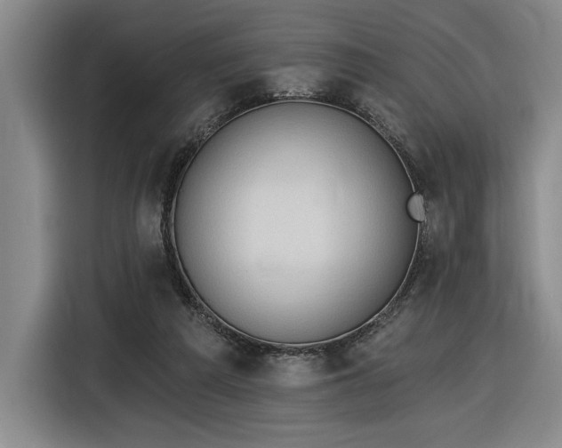 X0000116510209200912161345