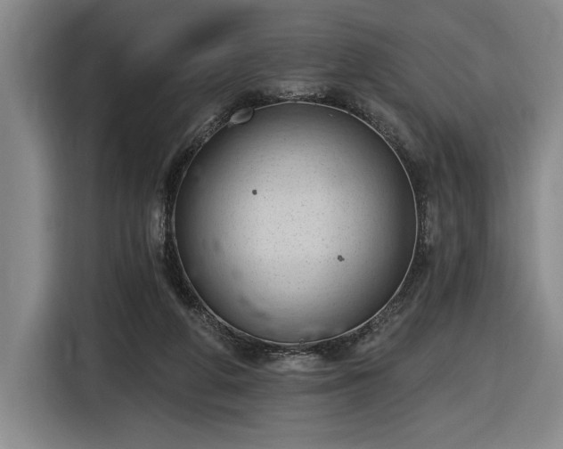 X0000116510210200912161345